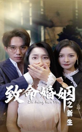 侠医电视剧粤语版免费观看下载高清