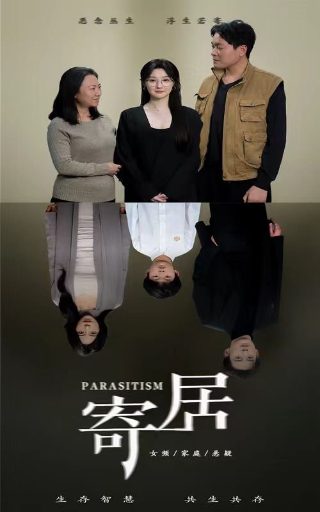 电视剧激荡全集