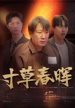 小菜一碟日剧资源百度网盘