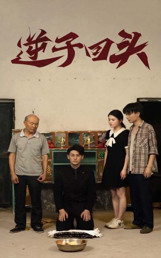 电影《密杀令》完整版免费观看国语高清在线