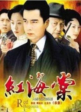 《大爱晚成》作者简介怎么写的呢图片大全