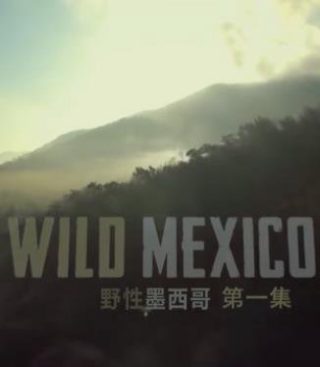 海盗图片下载软件免费