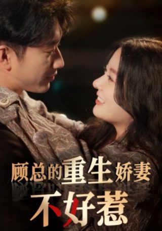 《以爱为营》大结局在线观看全集视频