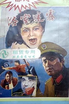 末世孤行 在线播放免费观看