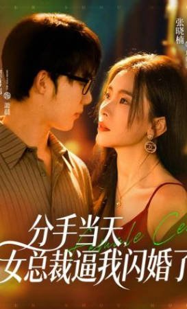 电影《情谜》在线观看国语版免费高清