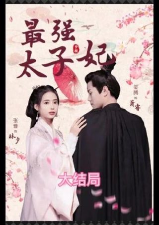 美人如画电视剧剧情介绍大结局