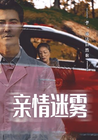 电影《凤姐》演员表名单介绍图片视频大全集
