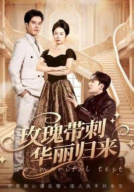 《疯子》电影韩国在线观看免费中文版高清