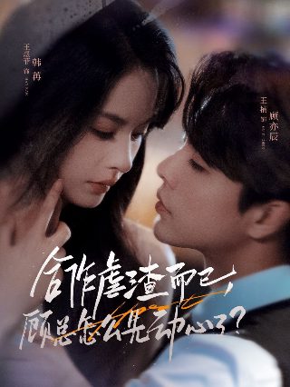 《射雕英雄传之铁血丹心》 13集剧情