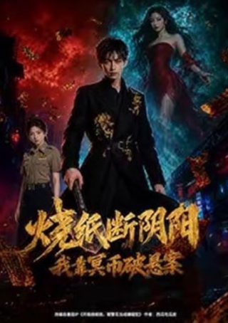 一诺倾情一共多少集