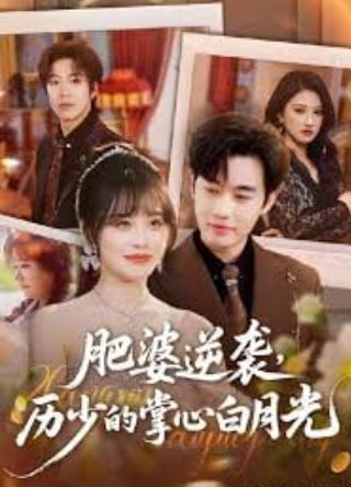 王钢说江湖全集