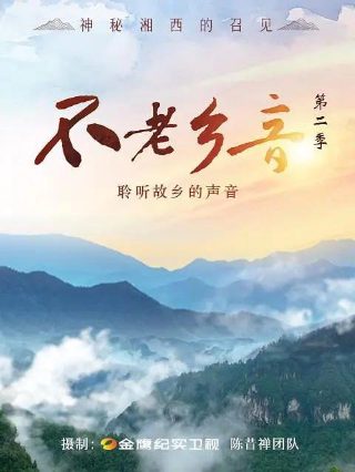 电影《血与骨》剧情介绍大结局解析视频下载