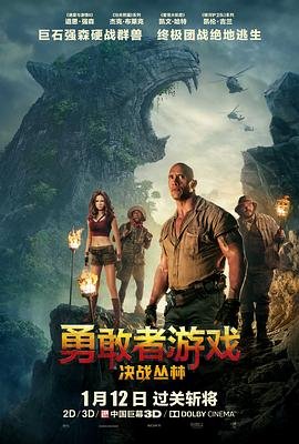 电影丽人行演员表名单大全图片