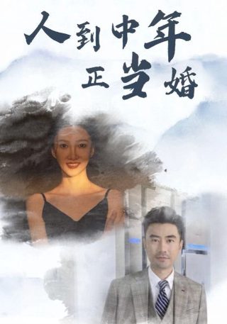 电影《美丽的丽莎》演员表大全图片高清版下载