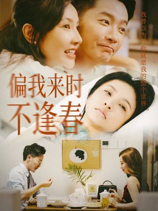 赘婿1718预告