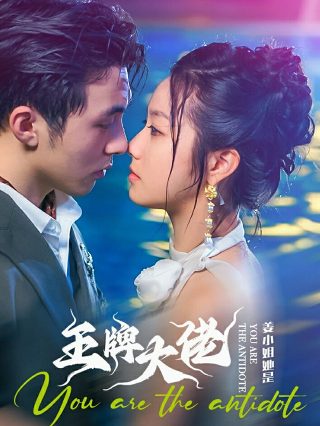 《热血同行》大结局真相大全在线观看免费高清