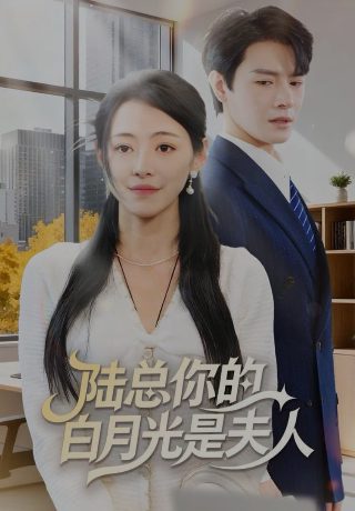 忏悔录2004年视频