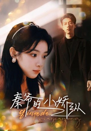 大时代在线播放粤语版全集下载免费