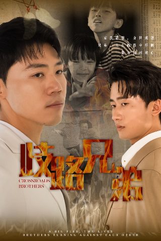人生会议完整版下载