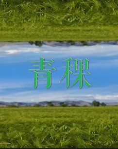 梁祝简谱钢琴曲