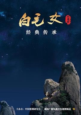 狮城勇探分集剧情简介大全