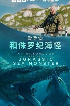 日剧《铁证悬案》网盘资源