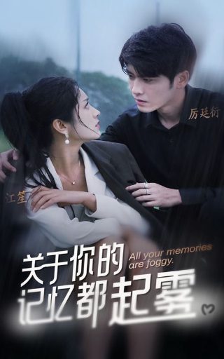 完美的他电视剧免费观看演员表