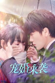 假日暖洋洋第十三季演员表