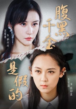 既然青春留不住原著