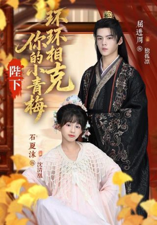 皇家师姐4