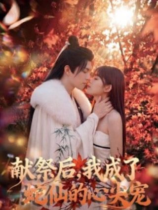 婚姻迷城免费播放全集电视剧在线观看