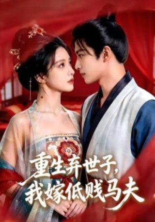 神龙狂婿大结局免费观看全集下载百度云资源