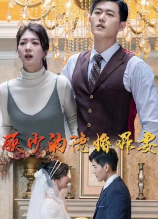 《战狼2》电视剧演员表介绍图片大全集下载