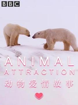 《荒岛求生》在线观看全集高清下载