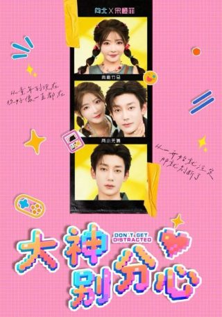 零容忍电视剧全集免费观看国语版高清