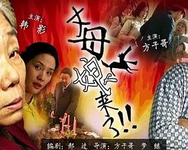 《大约是爱》手机免费观看全集