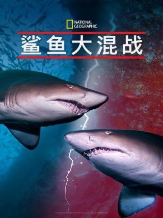 《德州巡警》演员表名单图片大全集