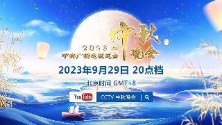 爱的回声完整版免费观看高清视频播放