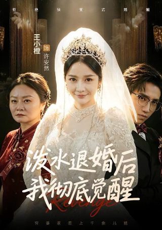 落地请开手机第26集