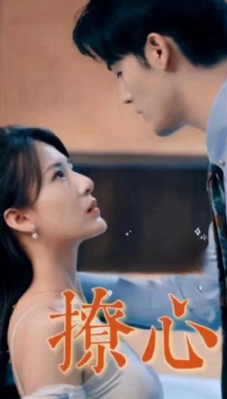 特别行动剧情简介大结局是什么意思