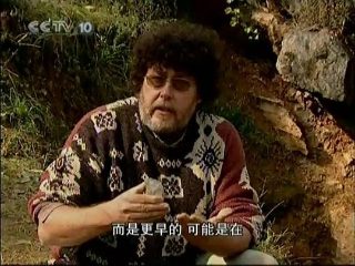 2013年是什么命