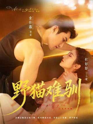 《兄弟》的简介50字左右怎么写