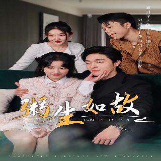 成家剧情介绍电视剧全集大结局免费观看