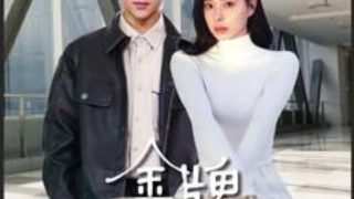 热血战斗电视剧有哪些