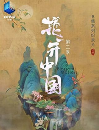 妄想的拼音