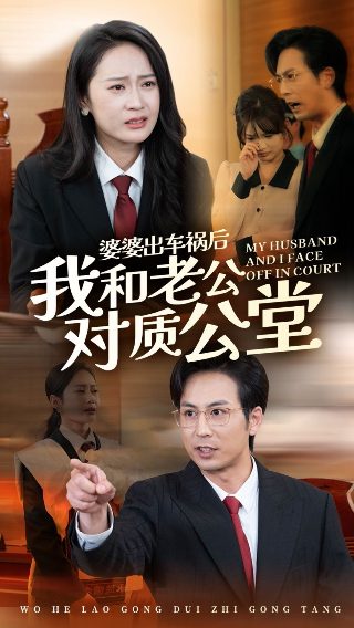 燕云台28集剧情介绍大全下载观看