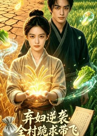 《特洛伊》观后感200字怎么写