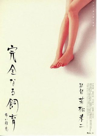 春暖花开 论坛公告
