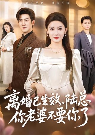 后厨免费观看全集高清版下载