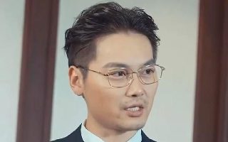 离婚律师 分集剧情 开公司